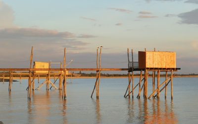 Votre centre « Jeûne entre Mer et Marais » se met en pause…